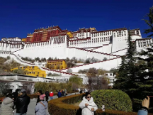 2023，你欠林芝桃花一场说走就走的西藏旅游@@